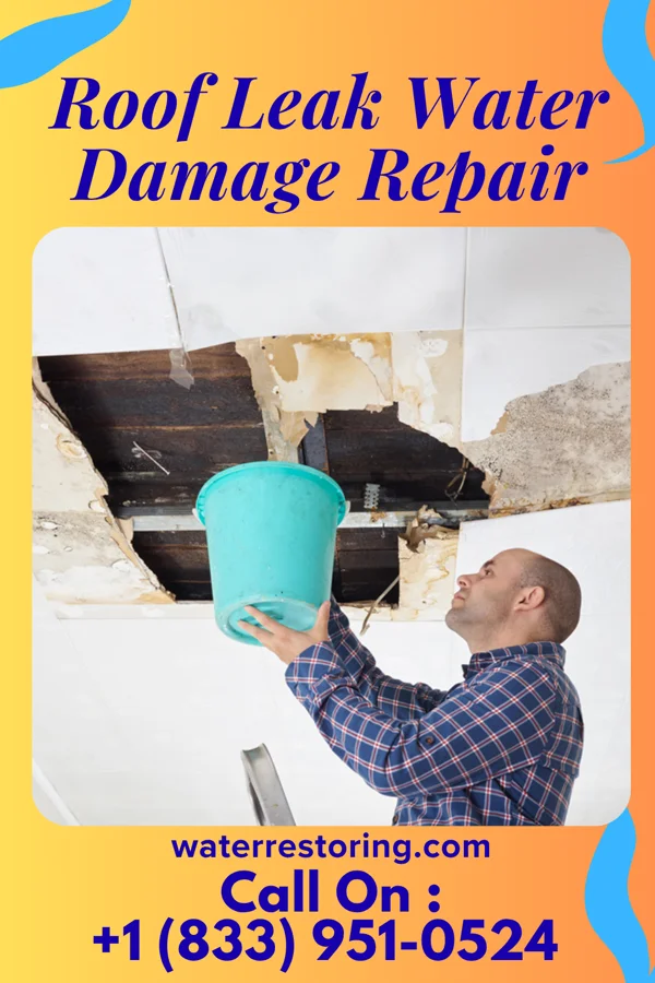 Roof Leak Water Damage Repair in Strang, NE
