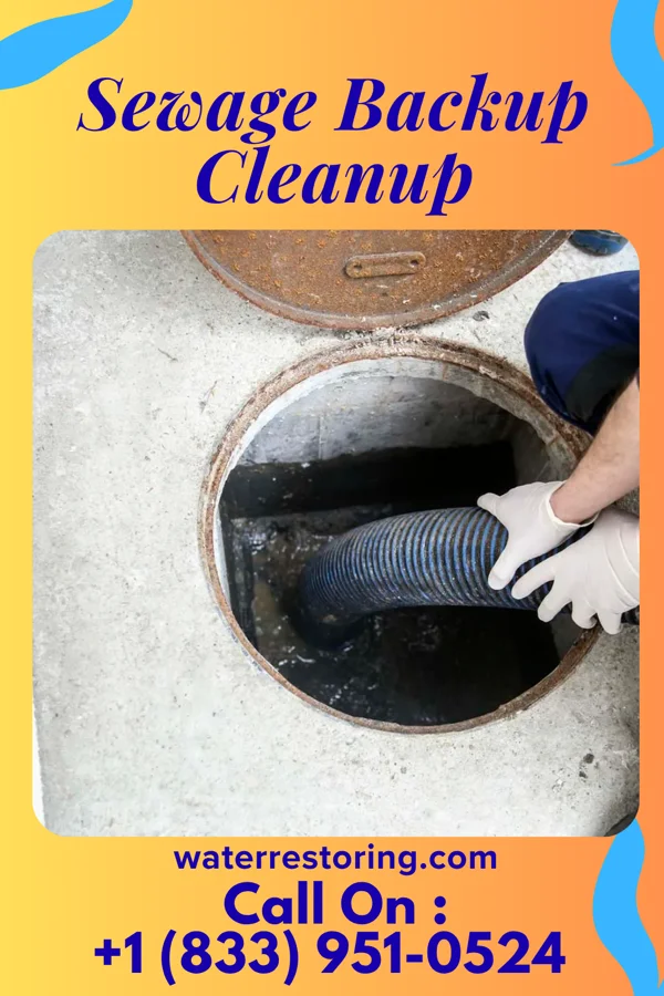 Sewage Backup Cleanup in Strang, NE