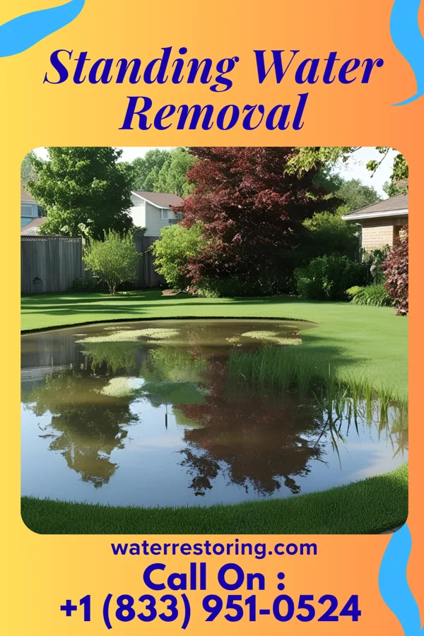 Standing Water Removal in Strang, NE